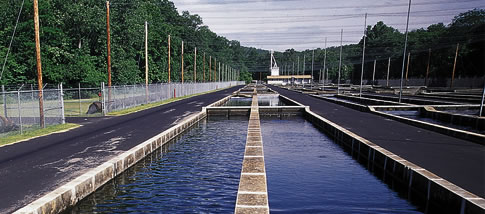 Friends of the Norfork National Fish Hatchery - Mountain Home, AR